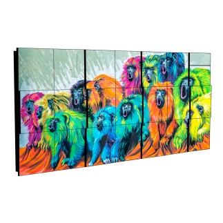 Curvart Dimensions Graffiti Monos multicolor